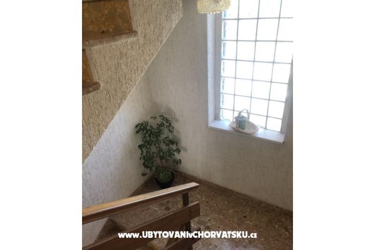 Kiwi Dům – foto 13