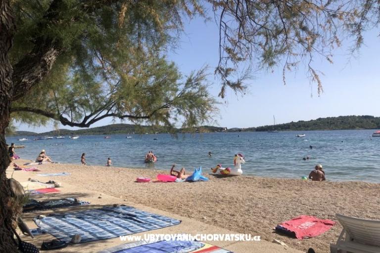 Kiwi Dům – foto 3