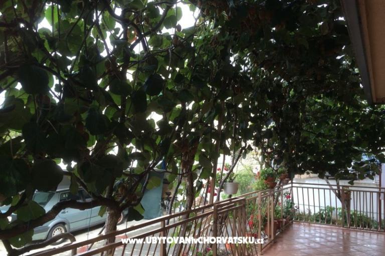 Kiwi Dům – foto 5