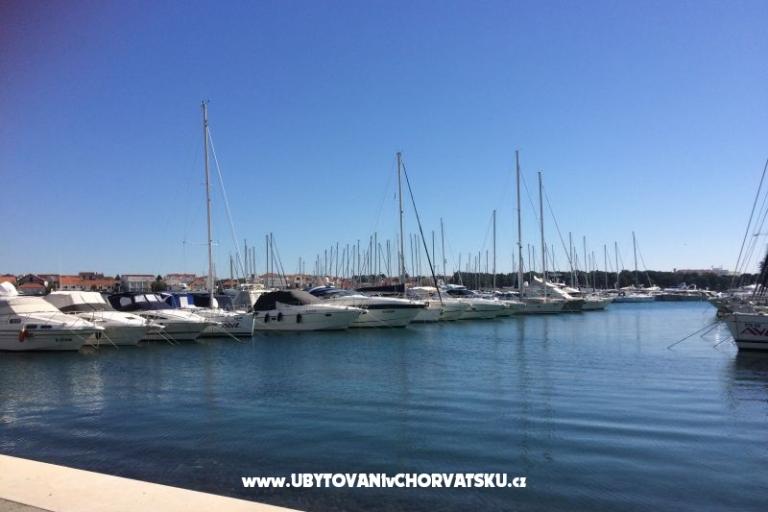 Kiwi Dům – foto 6