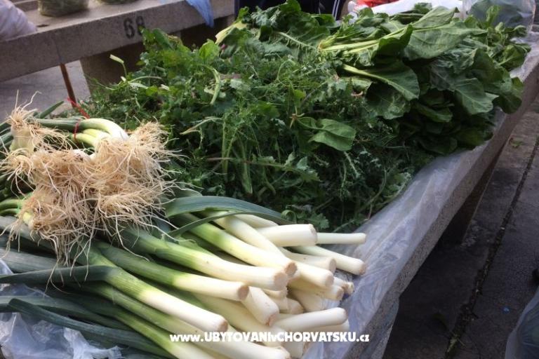 Kiwi Dům – foto 7