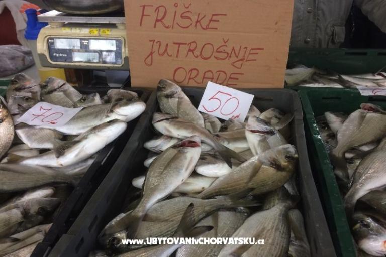 Kiwi Dům – foto 8