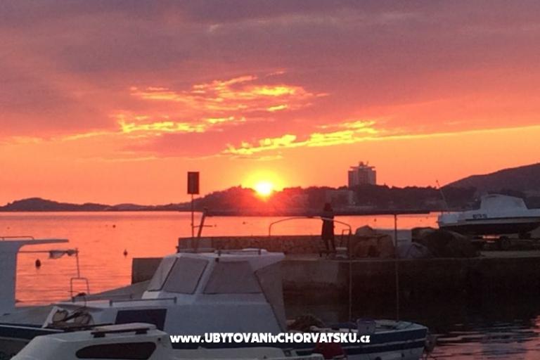 Kiwi Dům – foto 9