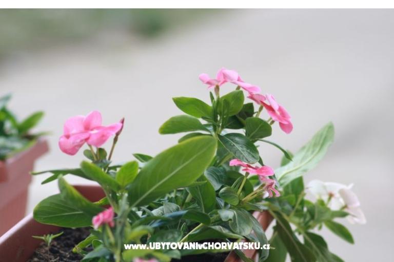 Apartmány - Vahovec – foto 12