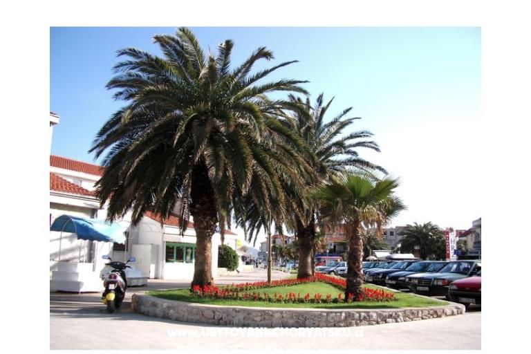 Apartmány  Vesna  – foto 14