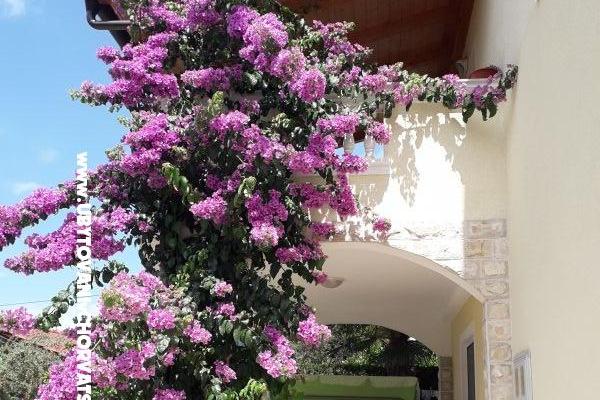 Apartmány  Vesna  – foto 20