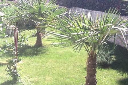 Villa Amelia – foto 9