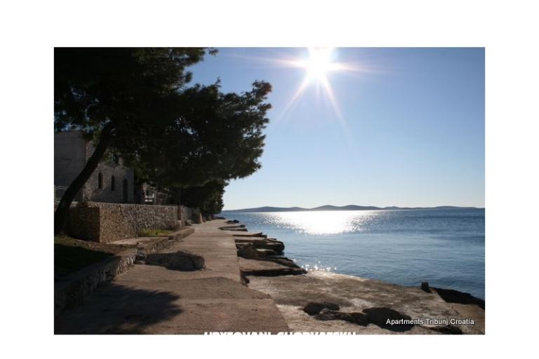 Villa Dubravka – foto 8