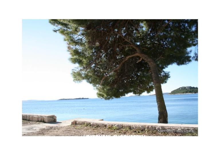 Villa Dubravka – foto 9