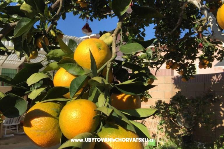 Villa Tanja *** – foto 11