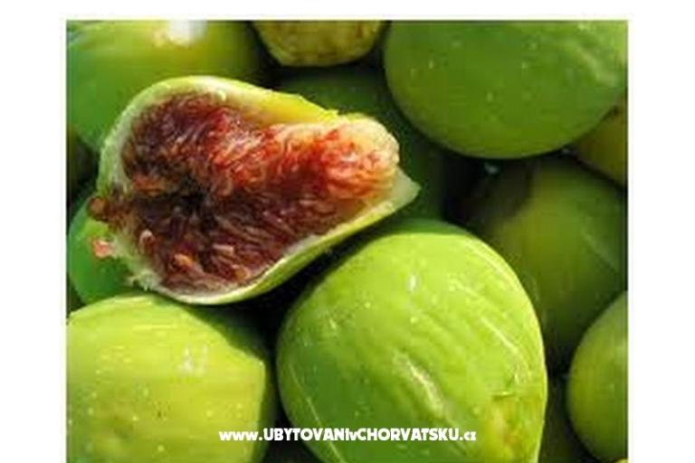 Villa Tanja *** – foto 14