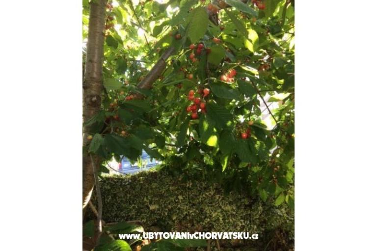 Villa Tanja *** – foto 16