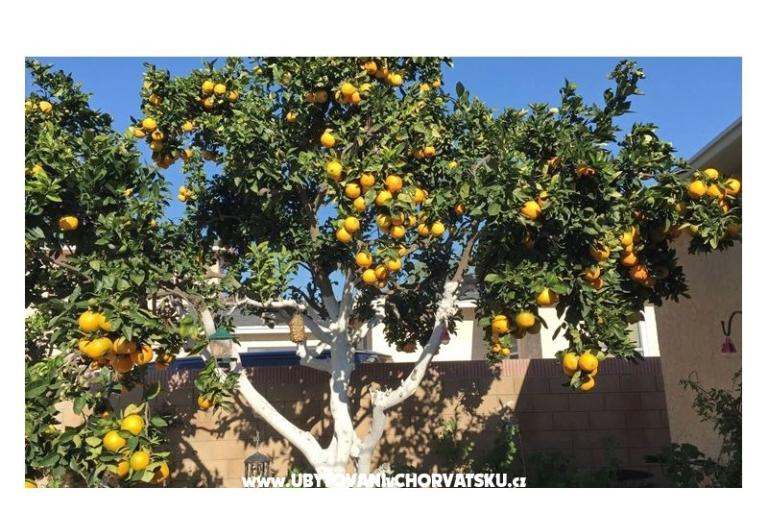 Villa Tanja *** – foto 3