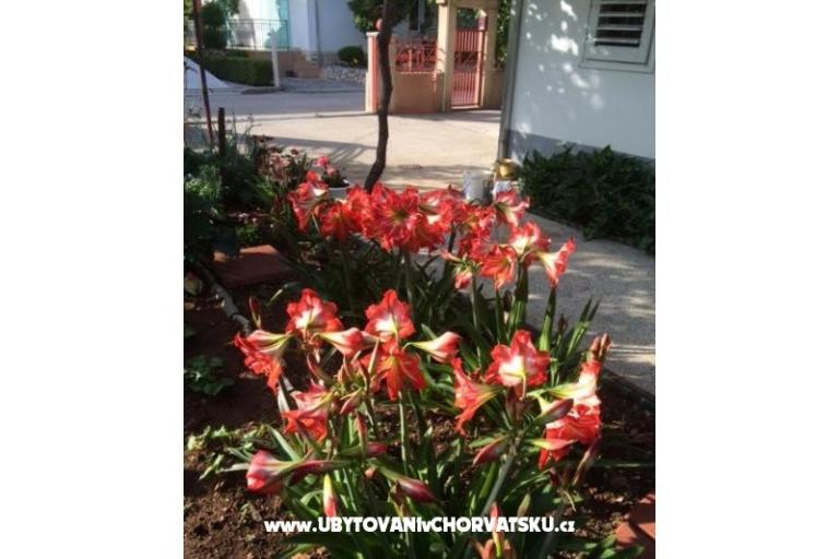 Villa Tanja *** – foto 4