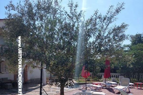 Apartmány Chipo – foto 3