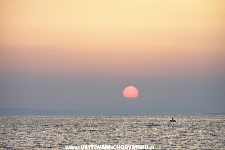 Vila Tamarix apartmani  – foto 9