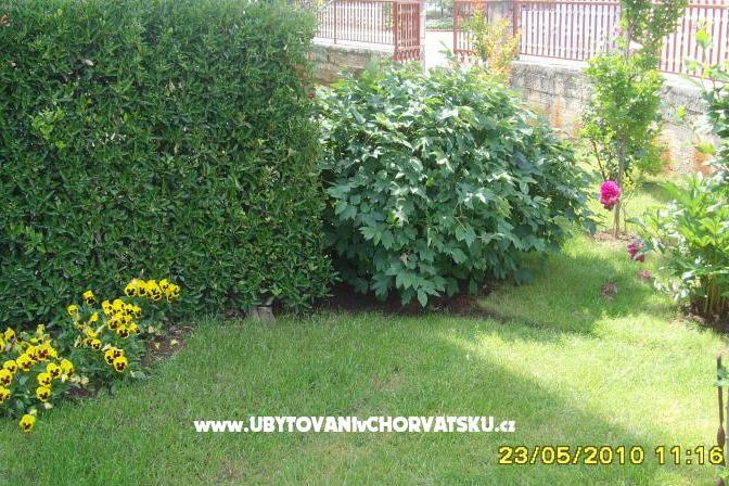 Apartmán Amico – foto 8