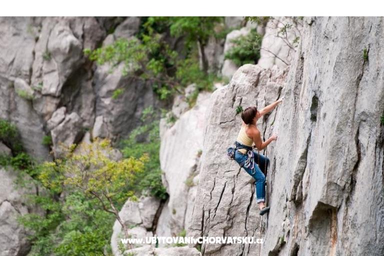 Apartmány Natalija – foto 7