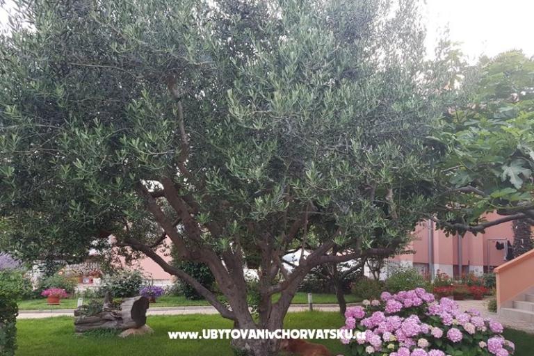 Apartmány Riva – foto 4