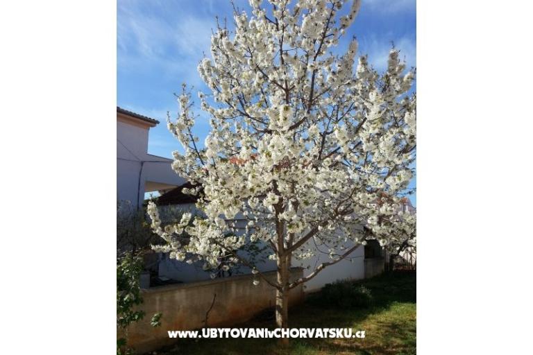 Apartmány Stela – foto 9