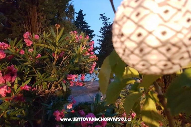 Apartmány Tena,  prvi red do mora – foto 25