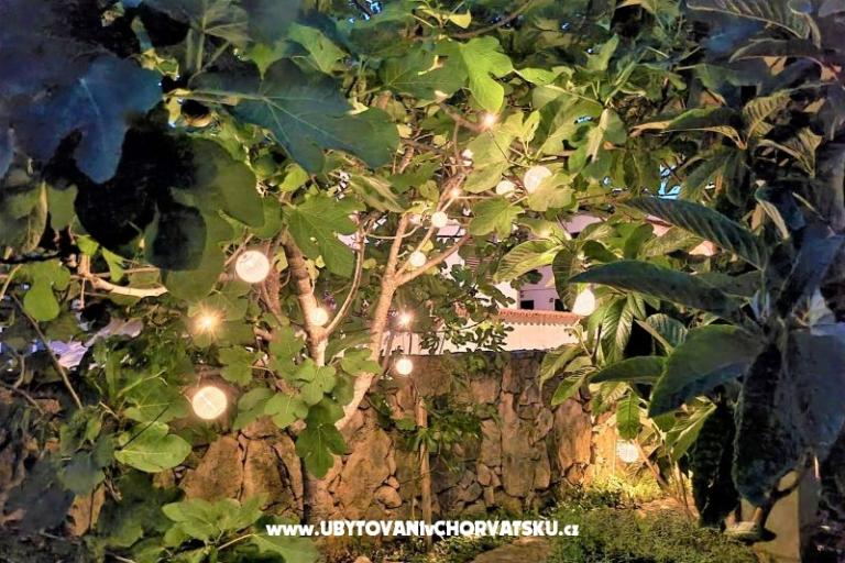 Apartmány Tena,  prvi red do mora – foto 44