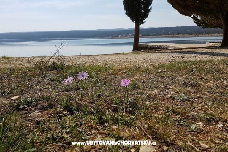 Apartmány Tena,  prvi red do mora – foto 45