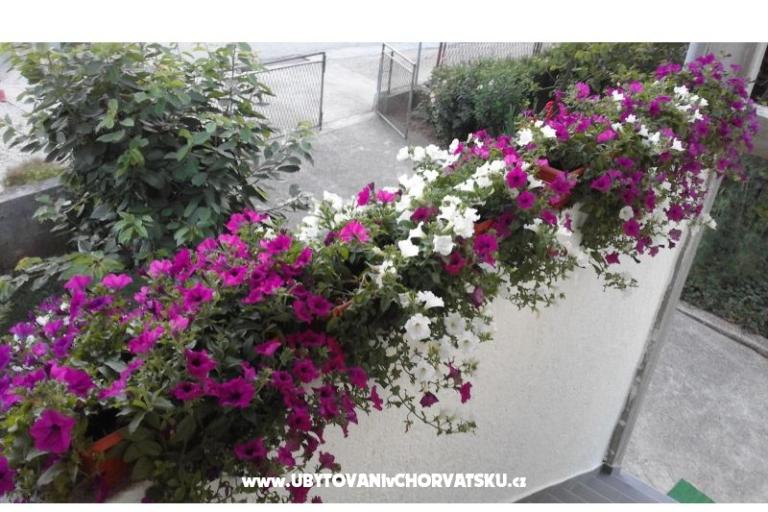 Apartmáns  Nina  – foto 11