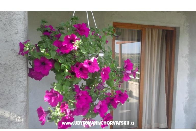 Apartmáns  Nina  – foto 8