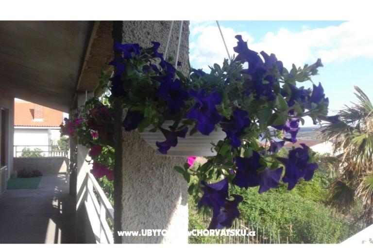 Apartmáns  Nina  – foto 9