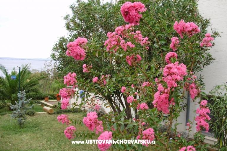 Apartmány Marija – foto 7