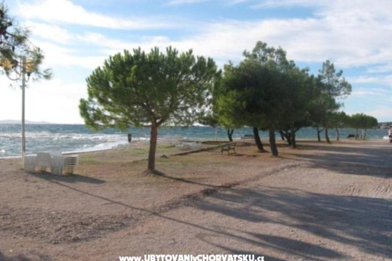 Apartmán Jelena – foto 8