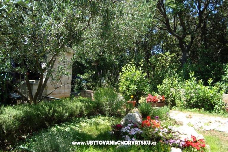 Apartmány ISA – foto 12