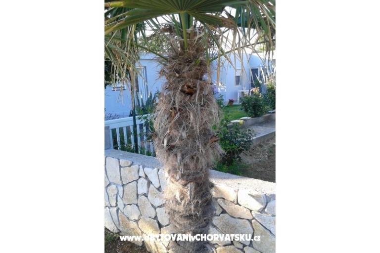 Studio apartment Ella Vrsi i apartm – foto 14