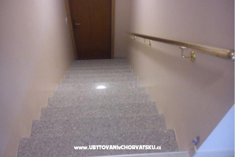 Armanito – foto 11