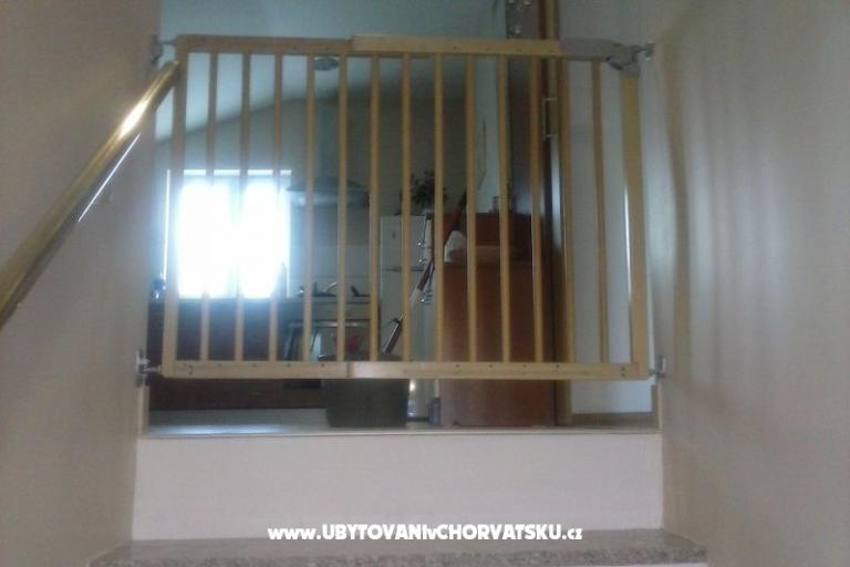 Armanito – foto 12