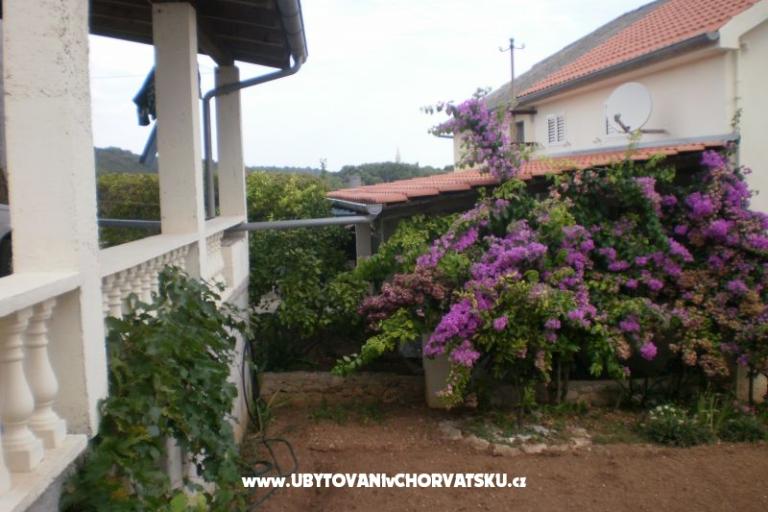 Dům Branka – foto 16