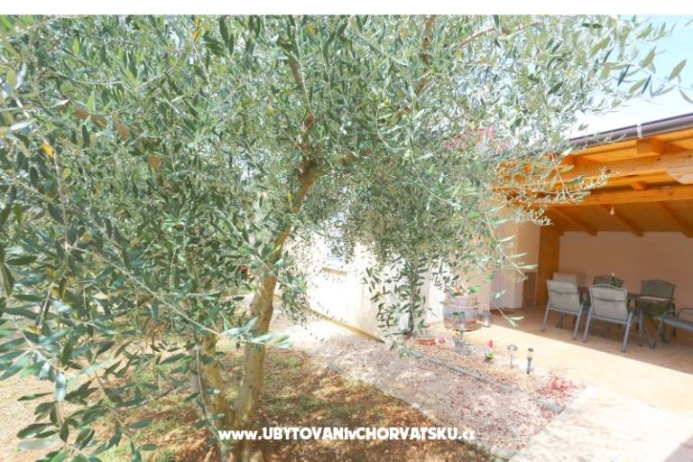 Snježana – foto 16