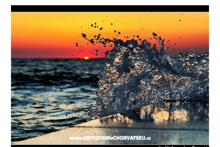 Val i Vital – foto 17