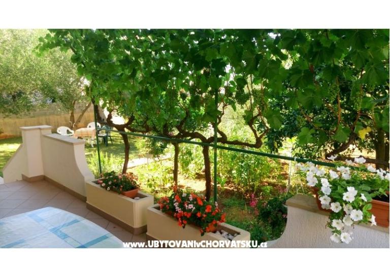 Villa Rosemarino – foto 11