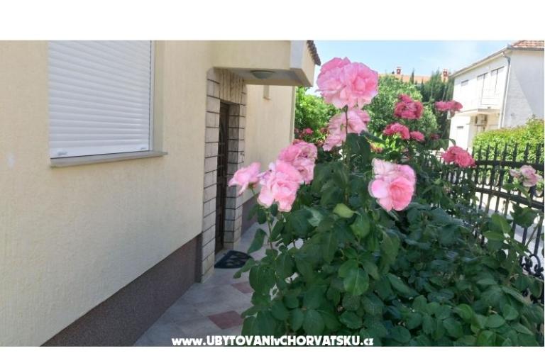 Villa Rosemarino – foto 5