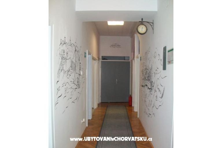 Chameleon hostel – foto 15