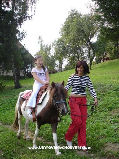 Penzion Vuglec Breg  B&B – foto 6