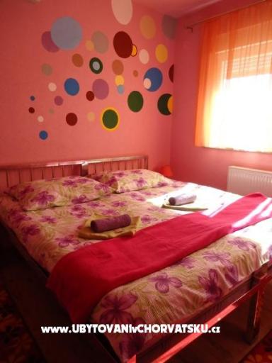 S.A.Z. – foto 5