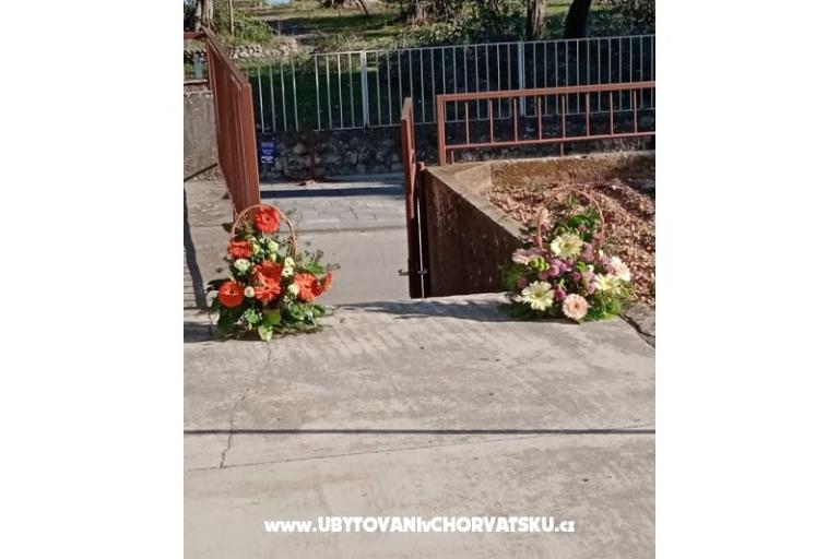 Apartmán Viter – foto 2