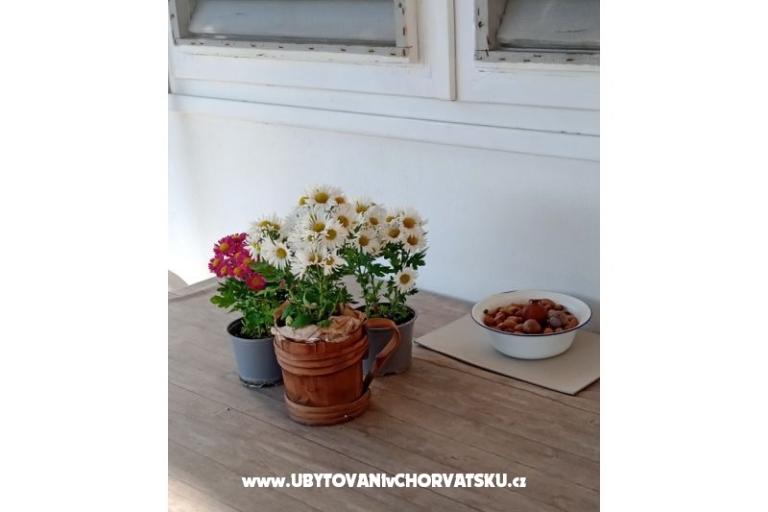 Apartmán Viter – foto 5