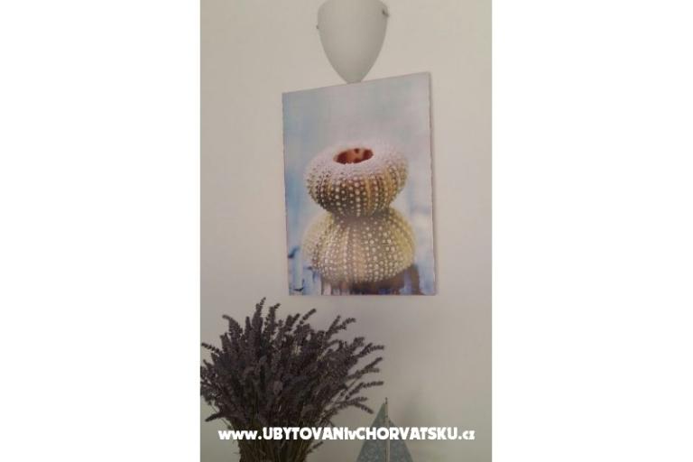 Apartmány Jardin – foto 9