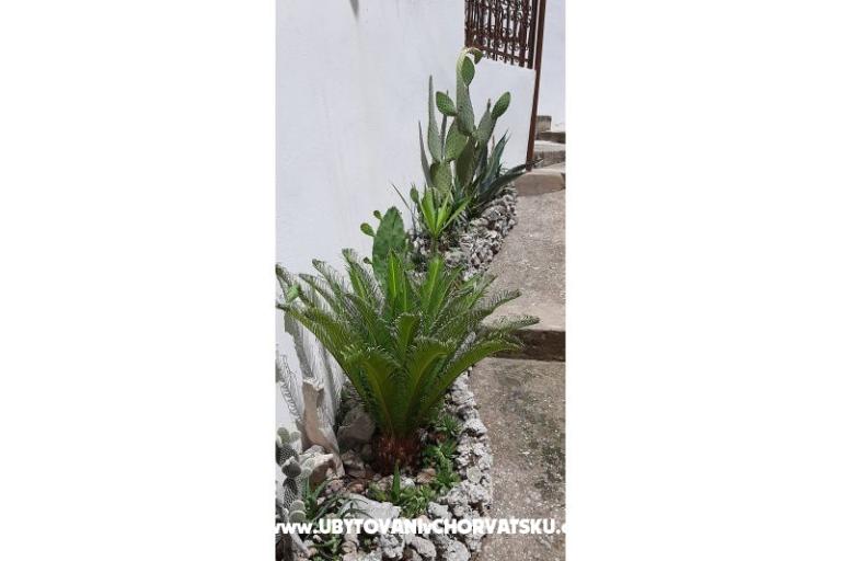 Apartmány Ružica  – foto 12