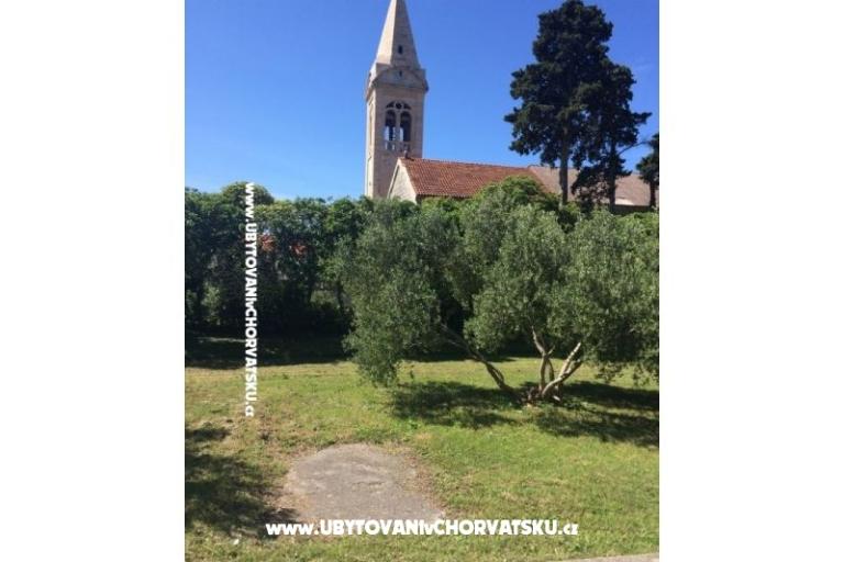Bossina Zaostrog – foto 14