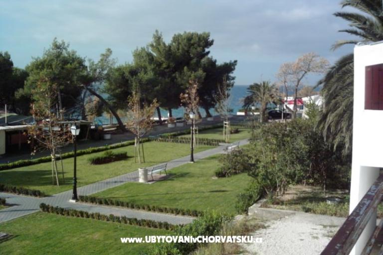 Casa Flowers – foto 11